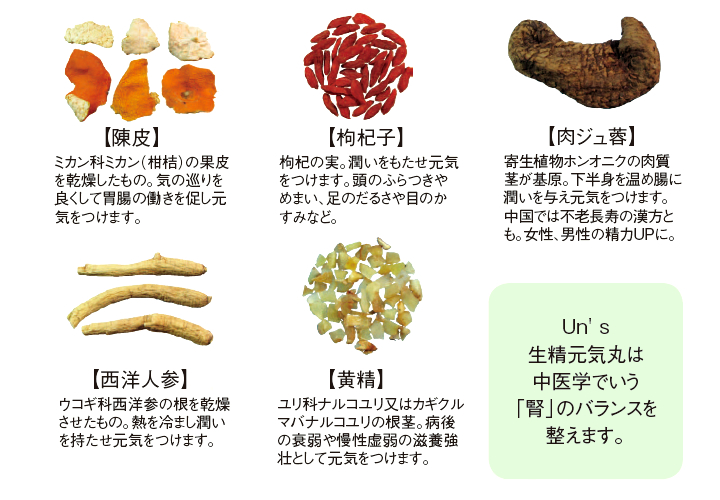 アクシスアン 生精元気丸