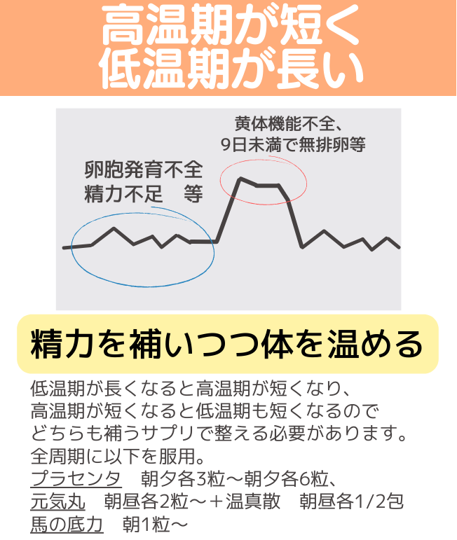 24高温期が短く低温期が長い